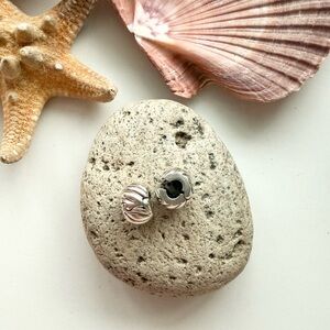 Pandora Polished Feather Clip Charm